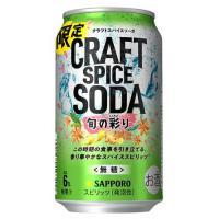 (企画品)サッポロ クラフトスパイスソーダ 旬の彩り 缶 ( 350ml×24本 ) | 爽快ドラッグ