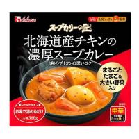 (訳あり)スープカリーの匠 北海道産チキンの濃厚スープカレー ( 360g )/ ハウス | 爽快ドラッグ