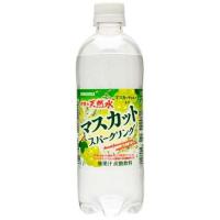 サンガリア 伊賀の天然水 マスカットスパークリング ( 500ml*24本入 )/ 伊賀の天然水 | 爽快ドリンク専門店