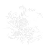 Aimer エメ／白色蜉蝣 (通常盤) (CD) VVCL-2397 2023/12/6発売 | CD・メガネのサウンドエース