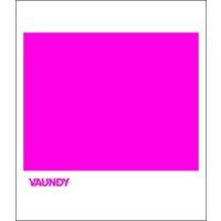 Vaundy ／ strobo (ストロボ) (CD) バウンディ ZXRC-2065 | CD・メガネのサウンドエース