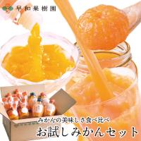 紀州有田みかん早和果樹園 - Yahoo!ショッピング