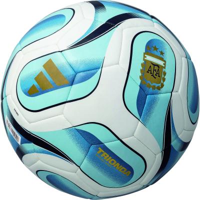 日本サロンフットボール協会公認球　2個 サッカーボール（ボール号数：2号）｜サッカー、フットサル｜スポーツ