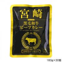 一 はじめ 宮崎黒毛和牛ビーフカレー 160g×30個 P10 | サプランド Yahoo!店