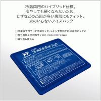 ザムスト 患部 冷却 保温 コールドパック アイスパック ホットパック 378400 冷却用 温熱用 アイス 応急処置  熱中症 対策 応急処置 ZAMST ゆうパケット対応 | スポーツ島