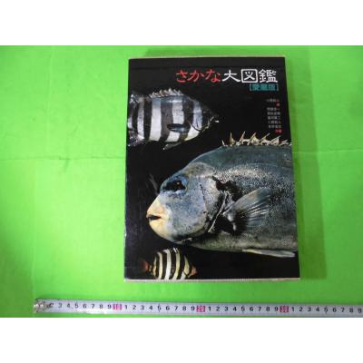 サカナクション 魚図鑑の商品一覧 通販 - Yahoo!ショッピング