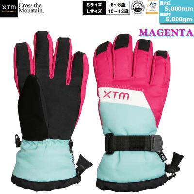 xtm ボードグローブ（サイズ（S/M/L）：S）のおすすめ人気商品一覧