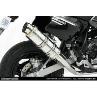 リアライズマフラー EMPLESSエンプレス チタン KSR110 KSR PRO（車