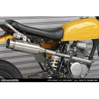 エイプ50 マフラー（バイク用 スリップオンマフラー）｜マフラー