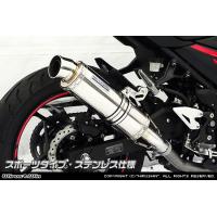 ex250p マフラー（バイク用 スリップオンマフラー）｜マフラー｜バイク