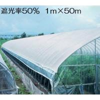 ずっと気になってた 白 2.0×50m 遮光率50% SW-50 4本入 遮光ネット タイレン 三菱化学のポリエチレン使用 農業資材 遮光網 家庭菜園 園芸用品 農業資材その他 個人宅配送不可 遮光ネット 白 2×50m 遮光率50% SW50 タイレン 大豊