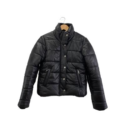 美品 トミーヒルフィガー 羊革 ラムレザー ノーカラー ライダース 黒 M 2026年最新】TOMMY HILFIGER レディース レザージャケット・ライダース