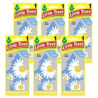 Little Trees リトルツリー エアフレッシュナー  Daisy Fields デイジー・フィールズ  6枚セット | Select Shop SKY-M