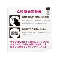 正規品／Kanpe Hapio D.I.Y. 復活洗浄剤 トイレ陶器クリーナー 100ML カンペハピオ 日用品 | パークアップバイクYahoo!店