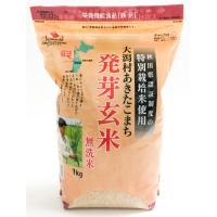 特別栽培米 大潟村あきたこまち 発芽玄米鉄分 1kg | スターワークス社
