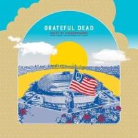 輸入盤 GRATEFUL DEAD / SAINT OF CIRCUMSTANCE [5LP] | ぐるぐる王国 スタークラブ