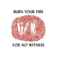 輸入盤 ANGEL OLSEN / BURN YOUR FIRE FOR NO WITNESS [CD] | ぐるぐる王国 スタークラブ