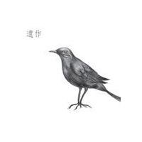 輸入盤 JO JUNG CHI / 2ND ALBUM [CD] | ぐるぐる王国 スタークラブ