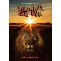 米米CLUB／a K2C ENTERTAINMENT TOUR 2023 〜WILD SOUL CARNIVAL〜 [DVD] | ぐるぐる王国 スタークラブ