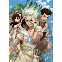 Dr.STONE ドクターストーン Vol.1 DVD [DVD] | ぐるぐる王国 スタークラブ