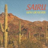 SAIRU / NOW OR NEVER [CD] | ぐるぐる王国 スタークラブ