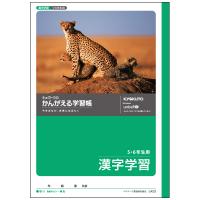 日本ノート （キョクトー） 漢字学習　５・６年用L423 | ステーショナリーグッズ適格請求書発行登録店