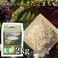 2セット 乳酸菌 あきたこまち 一等米 玄米 2kg お米 玄米 ごはん 国産米 秋田 アキタコマチ 健康 プレゼント ギフト 贈り物 農家直送 | HOTgadget