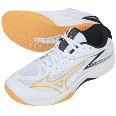 MIZUNO バレーボールシューズ（サイズ（cm）：25cm）｜バレーボール