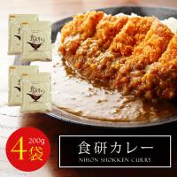 【クリックポスト送料無料】食研カレー 1袋200g【4袋セット】 【常温便】 | 宮崎地鶏炭火焼 車