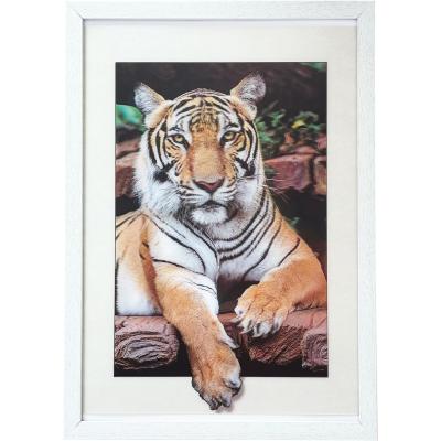 虎の絵 風水のおすすめ人気商品一覧 通販 - Yahoo!ショッピング
