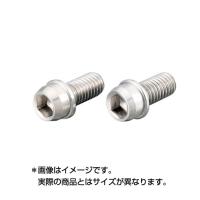 キタコ(KITACO) ビビットボルト(ステンレス) M6×P1.0 28mm 2個入 0900-060-00005 STRAIGHT/07-0108 (KITACO/キタコ) | 整備工具のストレート