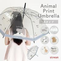 傘 レディース ビニール ビニール傘 かわいい おしゃれ 丈夫 アニマル 動物 プリント 柄 シュナウザー シマエナガ 犬 柴犬 猫 パンダ グッズ 雑貨 送料無料