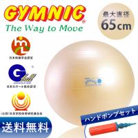 ギムニク フィットボール 65cm パール色 バランスボール＋ダブルアクションポンプ セット 