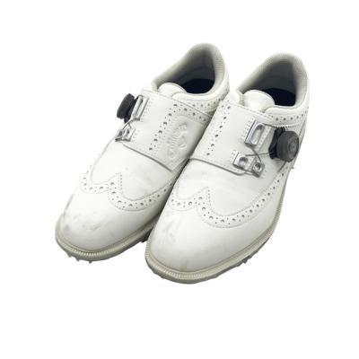 23,1（Callaway／ゴルフシューズ）｜ゴルフ | スポーツ の商品一覧