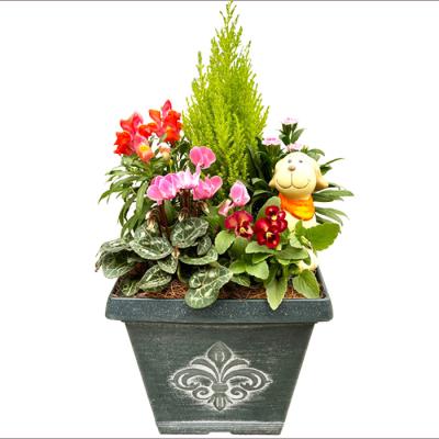 STYLE1187 - 寄せ植え｜Yahoo!ショッピング