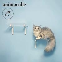 animacolle アニマコレ キャットステップ 3枚セット キャットタワー 日本製 安全 壁付け 棚板 足場 猫 ねこ DIY コンパクト ホワイト クリア 白 | シュガーオンラインショップ