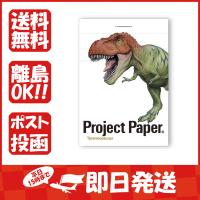 オキナ プロジェクトステッチメモ ティラノサウルス PM3758 | すぐる屋本舗2号店