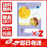 【まとめ買い ×2個セット】ショウワノート 学習帳 JXSー5V 5mm方眼+字/紫 B5 宇宙 117030502 | すぐる屋本舗ヤフーショッピング店