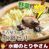 お鍋セット 名古屋コーチンとり鍋セット 水炊き 鳥鍋（野菜付き） コーチン 地鶏 / 冷蔵限定配送 