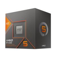 AMD Ryzen 5 8600G BOX | サンバイカルプラス ヤフー店
