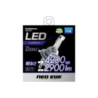 LEDヘッドバルブ 6500K H4 | サンドラッグe-shop