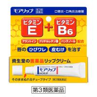 【第3類医薬品】資生堂薬品 モアリップN 8g | サンドラッグe-shop