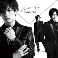 CD/WANDS/Version 5.0 (通常盤) | サン宝石