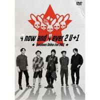 DVD/椎名慶治/Yoshiharu Shiina Live 2021「4 now and 4ever 2 U+1」 | サン宝石