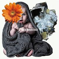CD/DOES/INNOCENCE (通常盤) | サン宝石
