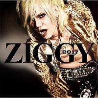 CD/ZIGGY/2017 | サン宝石