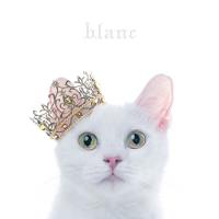 CD/Aimer/BEST SELECTION ”blanc” (通常盤) | サン宝石