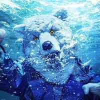 CD/MAN WITH A MISSION/INTO THE DEEP (CD+DVD) (初回生産限定盤) | サン宝石