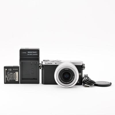 LUMIX GF1（付属レンズ：レンズキット）のおすすめ人気商品一覧 通販