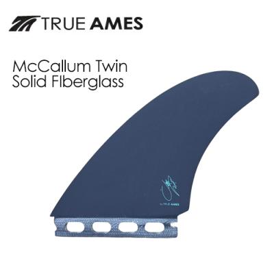 true ames ツインフィン（スポーツ用品）のおすすめ人気商品一覧 通販